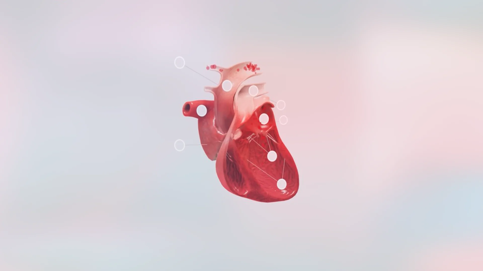 One Health: Convergence of human and animal health