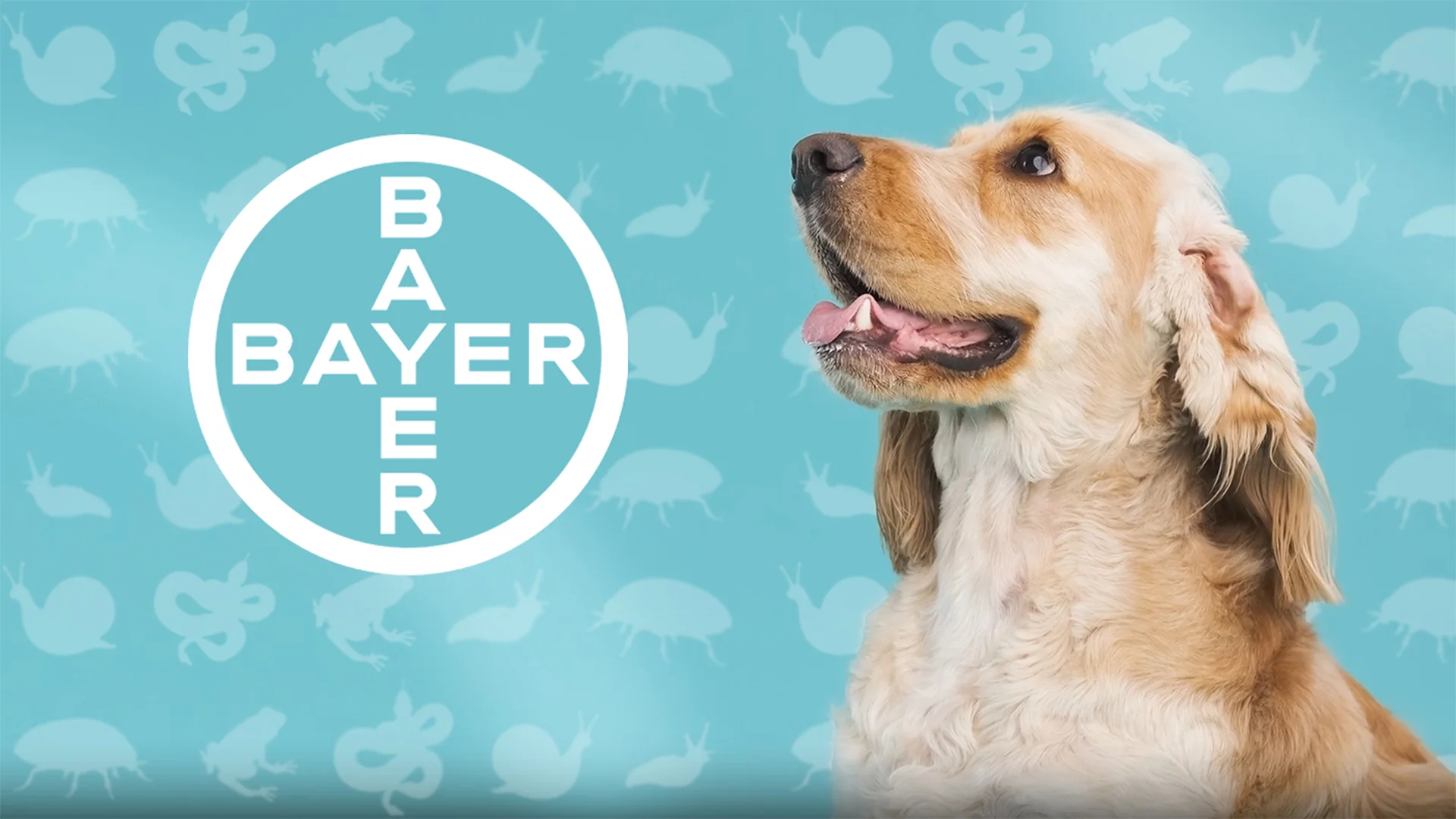 Bayer AR Game
