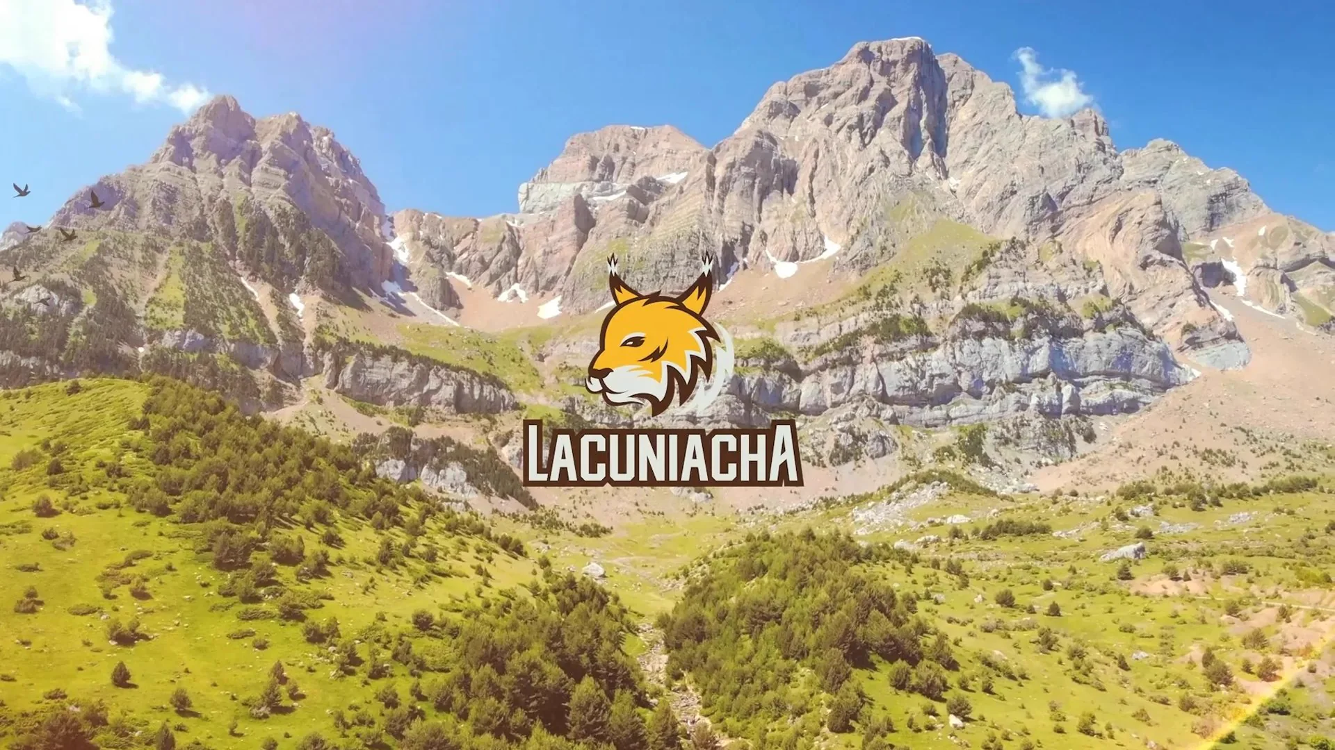 Lacuniacha